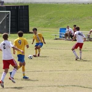 Meet your Posher, Hong gu